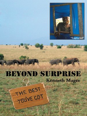 cover image of Beyond Surprise